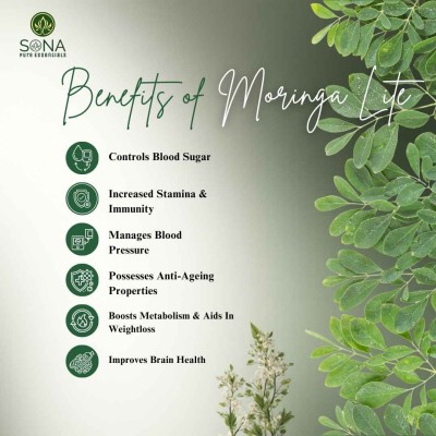 Moringa Lite